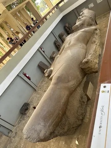 Fallen limestone colossus of Ramesses II at Memphis