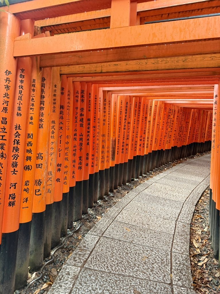 A tunnel of vermilion torii gates at Fushimi Inari, inscribed in black