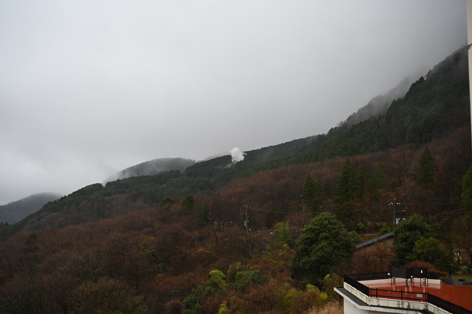 A white plume of volcanic gas rising from a fumarole on a forested, cloud-covered mountainside in Hakone