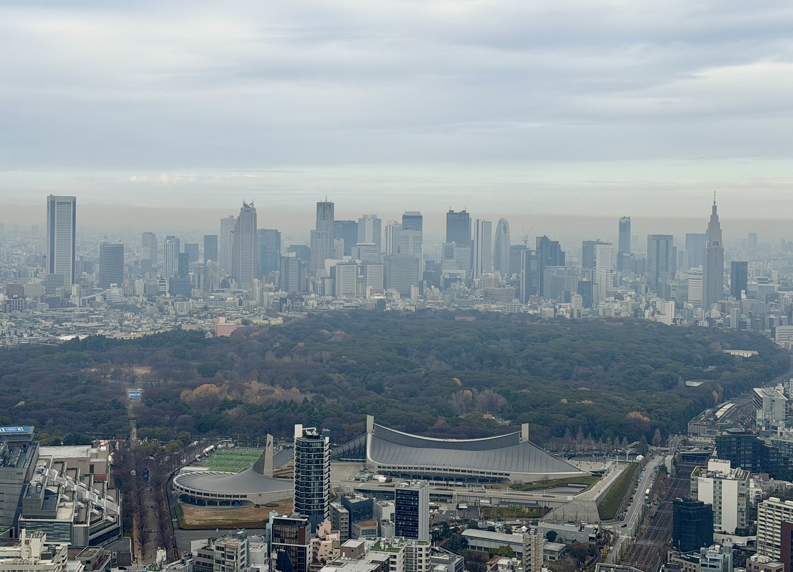 The Meiji Jingu forest seen from Shibuya Sky, with the Yoyogi National Gymnasium in front and the Shinjuku skyline behind