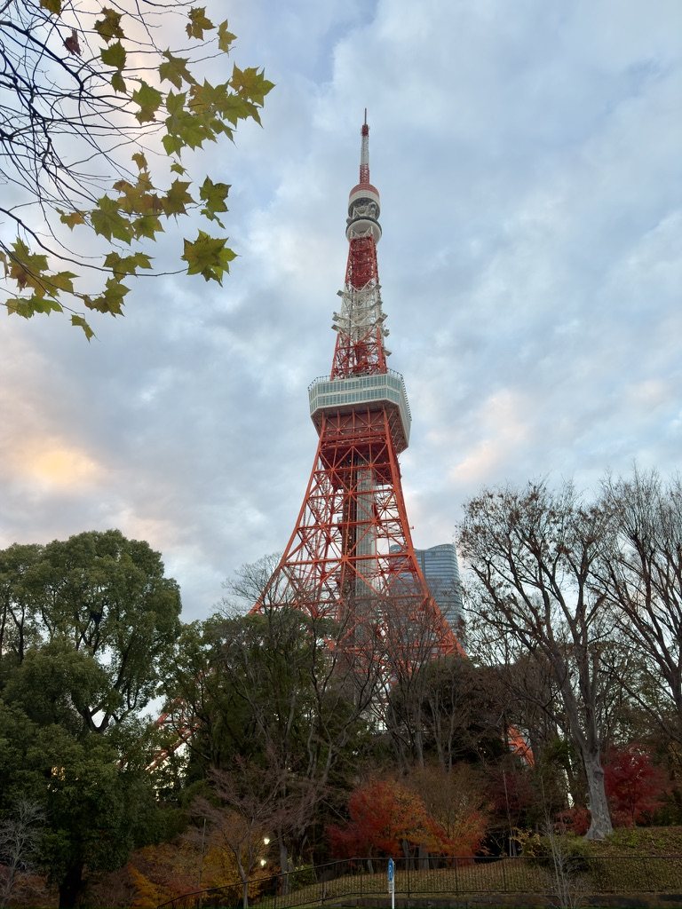 Tokyo Tower above autumn trees
