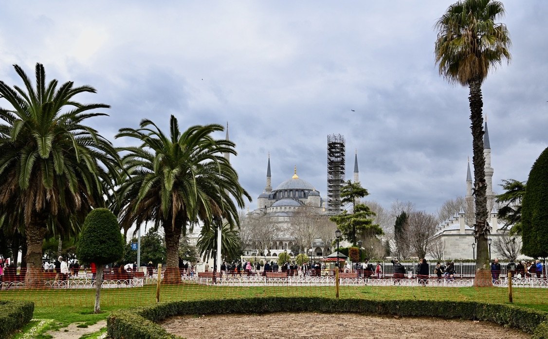 The Blue Mosque behind palm trees in Sultanahmet Square, with scaffolding on one minaret