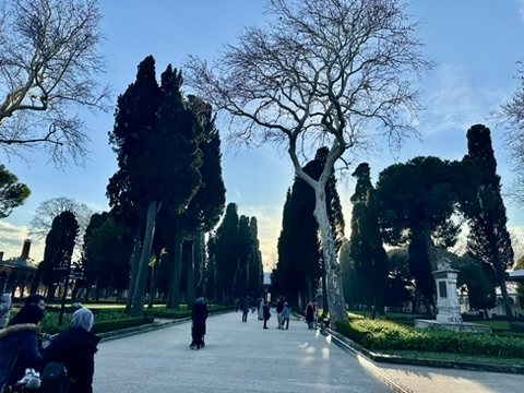 A path lined with cypresses in the grounds of Topkapı