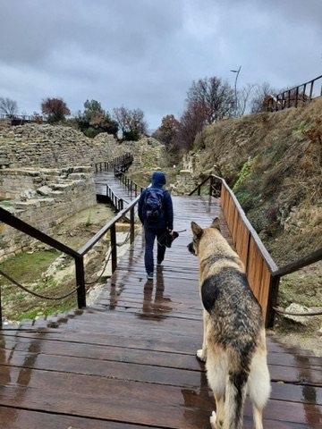 Johnew walking along a wet boardwalk at Troy, with a dog following